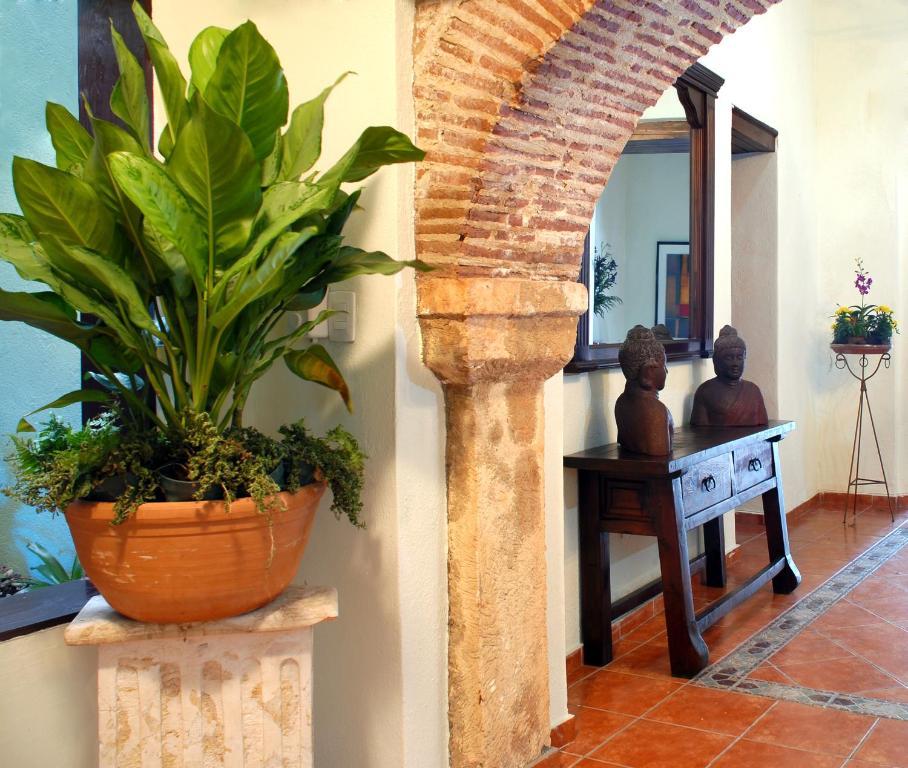 Suite Colonial Santo Domingo Kültér fotó